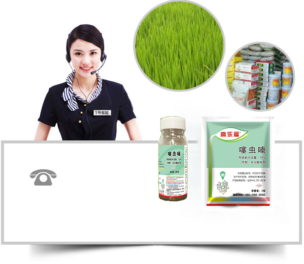 除草劑廠(chǎng)家，除草劑批發(fā)